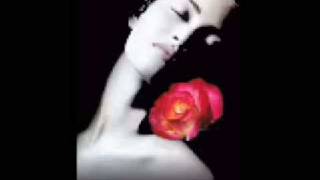 Una Rosa es Una Rosa - Mecano (Lyrics)