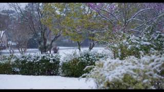 Relaxing Snow with Gentle, Peaceful Piano Music