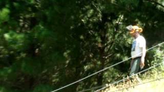 Tree Felling Part 3
