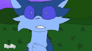 What you can’t see//Jaypaw//Warriors cats