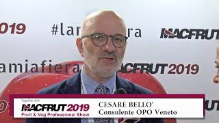 CESARE BELLO'