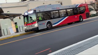 WMATA New Flyer Metrobus & MCDOT Ride-On Gillig Bus in Action Series #5, Bus Observations