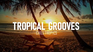 Tropical Grooves 🌴 Lo-Fi Chill Beats | Relaxing Island Beach Music