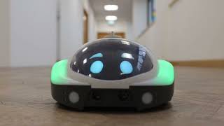 Loti Bot