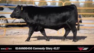 014AN00450 Glory