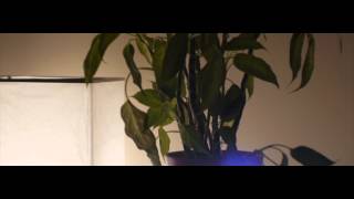 Petit Cinevision 1.5x anamorphic on Panasonic GH2