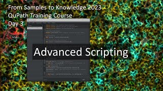 Advanced Scripting