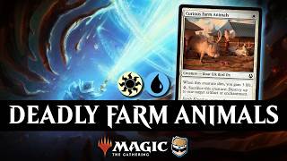 UW Control in Mythic | Standard MTG Arena