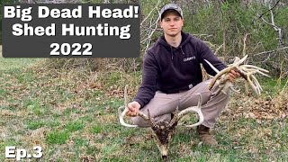 Shed Hunting 2022, Big Dead Head! Ep. 3
