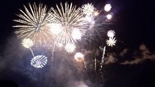 Bonfire night Firework display #bonfire #bonfirenight #fireworks 
