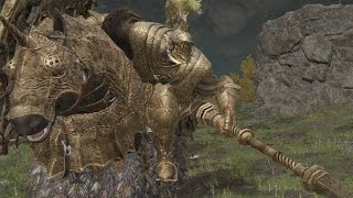 Talks with a Tree Sentinel
