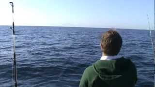Cobia fishing off the Gold Coast