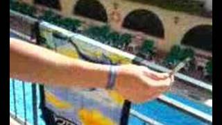 Taz takes a plunge