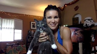 Cardio Step with Mercy, with Extended Stretch, & cats! 😅🐈🐈💫