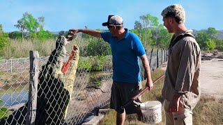 Catching Killer Crocs In Australia's Crocodile Country