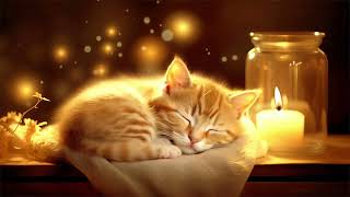 Cozy Fireplace with Purring Cat and Puppy friend | Crackling Fire, Cat's Purr To Relax, Sleep, Study
