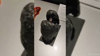 Wystawa BODY World's Szczecin