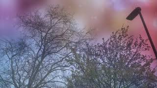 Matthew Jennings - In the Bleak Midwinter (Visualiser)