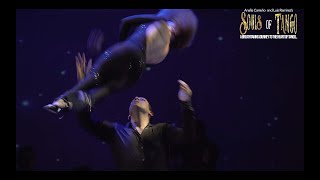 A MUST SEE TANGO SHOW SOULS OF TANGO