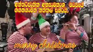 merry christmas ✨️✨️ සුබ නත්තලක් වේවා