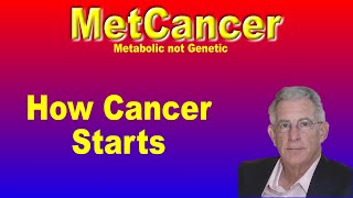 A Fascinating insight from Professor Thomas Seyfried on how cancer starts in the first place.