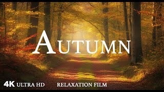 Autumn 4K – Relaxing Scenery & Hidden Gems with Calming Music