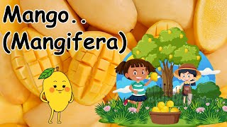 Mango (Mangifera)🌳Benefits of Mango Fruits With Picture Quotes || About Mango With Picture Benefits👈