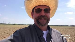 Texas cotton farmer pleased with NACHURS Bio-K products