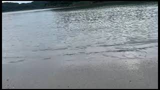 BLOWS/記憶のカケラ