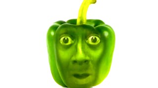 Completely random tiktoks from my camera roll (pt.11)