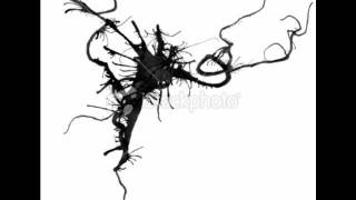 Habitz - Ink Steps to Papertrail