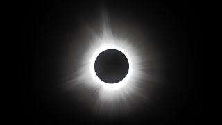 Solar Eclipse 2024 With Friends
