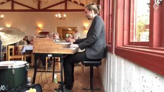 Organic Organ Trio - Hymn To Freedom