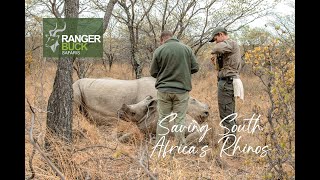 Rhino Collaring In South Africa