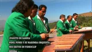 Fidel Funes Y Su Marimba Orquesta   "Juguito de Sandia"
