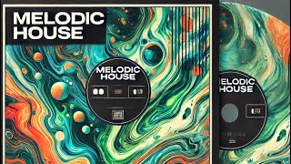 Resonant Horizons: A Melodic House Journey, organic house, 2025 DJ mix