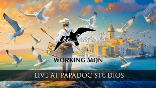 The Seagulls - Working Man - PapaDoc Studios