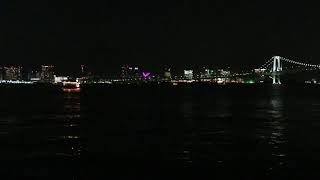 Tokyo Ferris Wheel Light Show