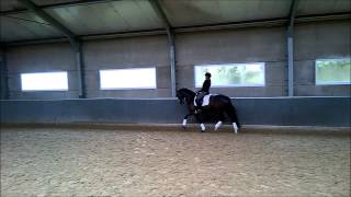 El Diva FW 05/03/2015 schakeltraining draf