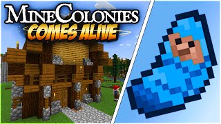 Starting a COLONY and a FAMILY in MineColonies Comes Alive