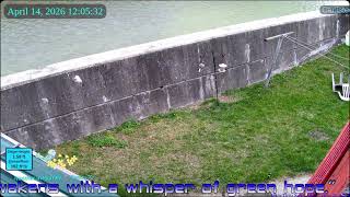 Canisteo River Live Cam 24/7 - Hornell, New York - 4-14-2026