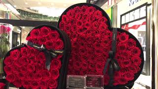 Happy Valentines Day #happyheartsday