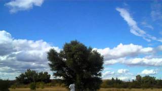 Half-Lite Stunter (1/2A Control Line Stunt)