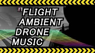 Chill Flight: Pilot View with Ambient Electronic Music