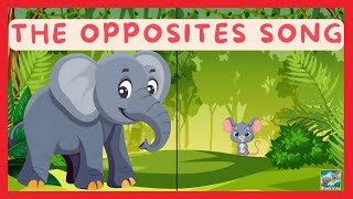 The Opposites Song For Kids 🔁 | Learn Big & Small, Up & Down | Fun Preschool Rhymes