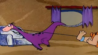 Dino Takes Fred For A Walk | The Flintstones