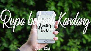 RUPA BOKE DI KANDANG   Vanly Sasue x Julio T