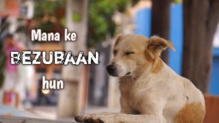Mana ke Bezubaan hun |  #bezubaa #music #song