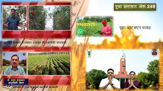 पूसा समाचार अंक 249  Pusa Samachar Episode 249