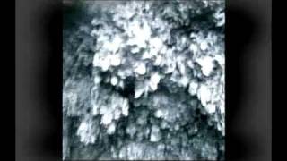 the beach just enjoy